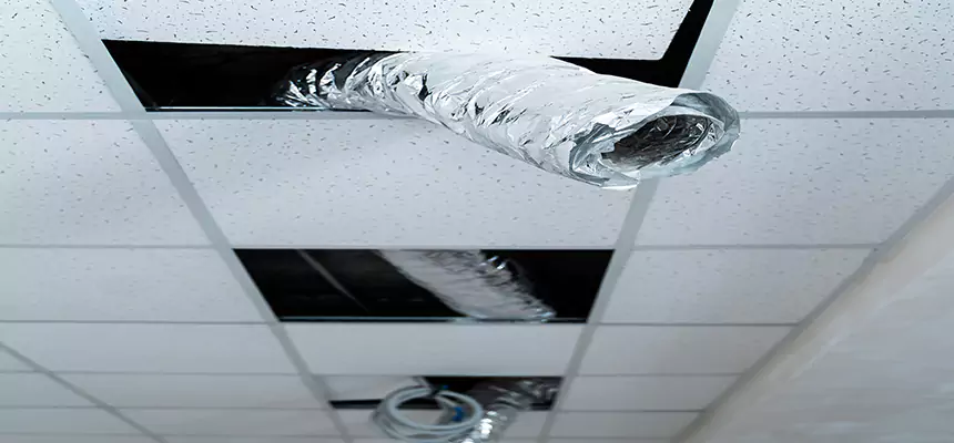 Affordable HVAC Sanitizing After Pest Removal in East Los Angeles