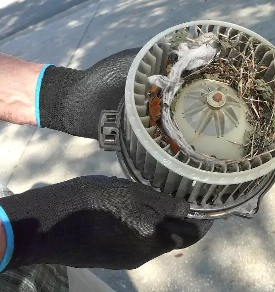 About Air Duct Mice Removal in East Los Angeles, CA