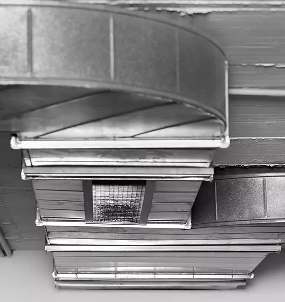 Professional Air Duct Pest Removal in East Los Angeles, CA