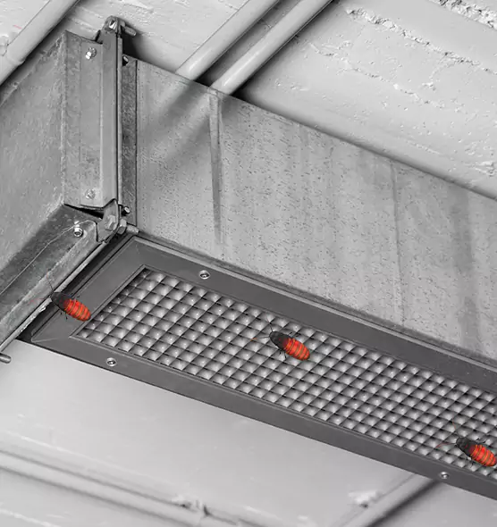 Affordable Insect Removal from Air Ducts in East Los Angeles, CA