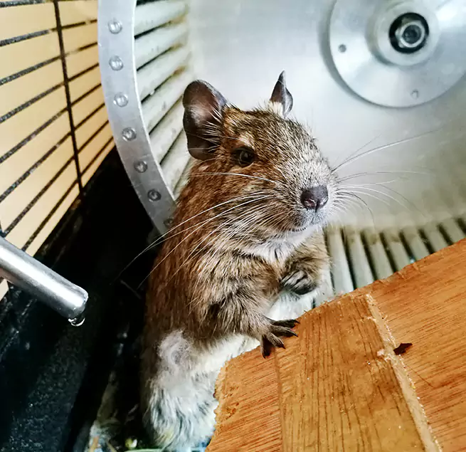 Why Homeowners & Businesses Trust Us East Los Angeles, CA?