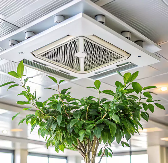 Why Homeowners & Businesses Trust Us in East Los Angeles, CA?