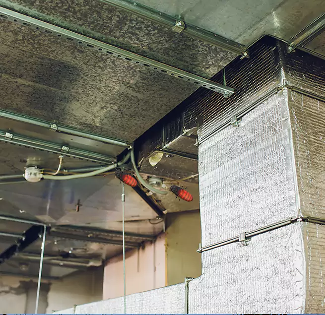 Why Homeowners & Businesses Trust Us East Los Angeles, CA?